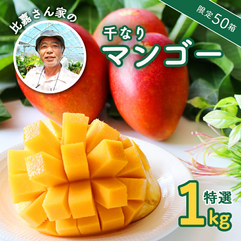 【ふるさと納税】【限定50箱】比嘉さん家の千なりマンゴー(特選・1kg) 【2026年6月下旬～7月頃発送】生産者直送　先行予約