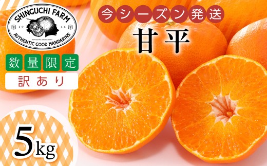 ＜数量限定＞今シーズン発送!＜訳あり＞甘平 5kg＜E70-166＞【1710495】 YWTK165