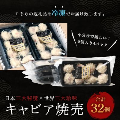 ふるさと納税 椎葉村 【日本三大秘境×世界三大珍味】平家キャビアが焼売に!!キャビア焼売 8個入り×4パック 合計32個 |  | 02