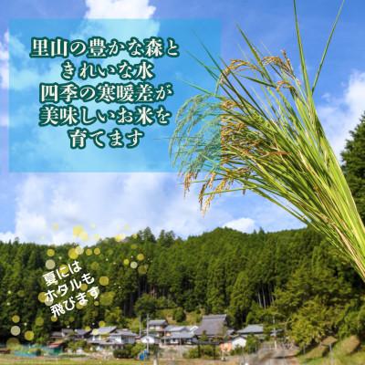 ふるさと納税 南丹市 【令和7年産米】京都府産こしひかり10kg(5kg×2袋)農家直送 出荷日に合わせて精米 |  | 03