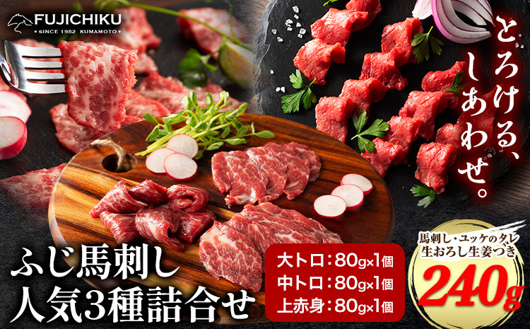
            馬肉 ふじ 馬刺し 人気3種詰合せ 約 240g 道の駅竜北《60日以内に出荷予定(土日祝除く)》 熊本県 氷川町 肉 馬肉 中トロ 大トロ 上赤身 ふじ馬刺し セット 食べ比べ
          