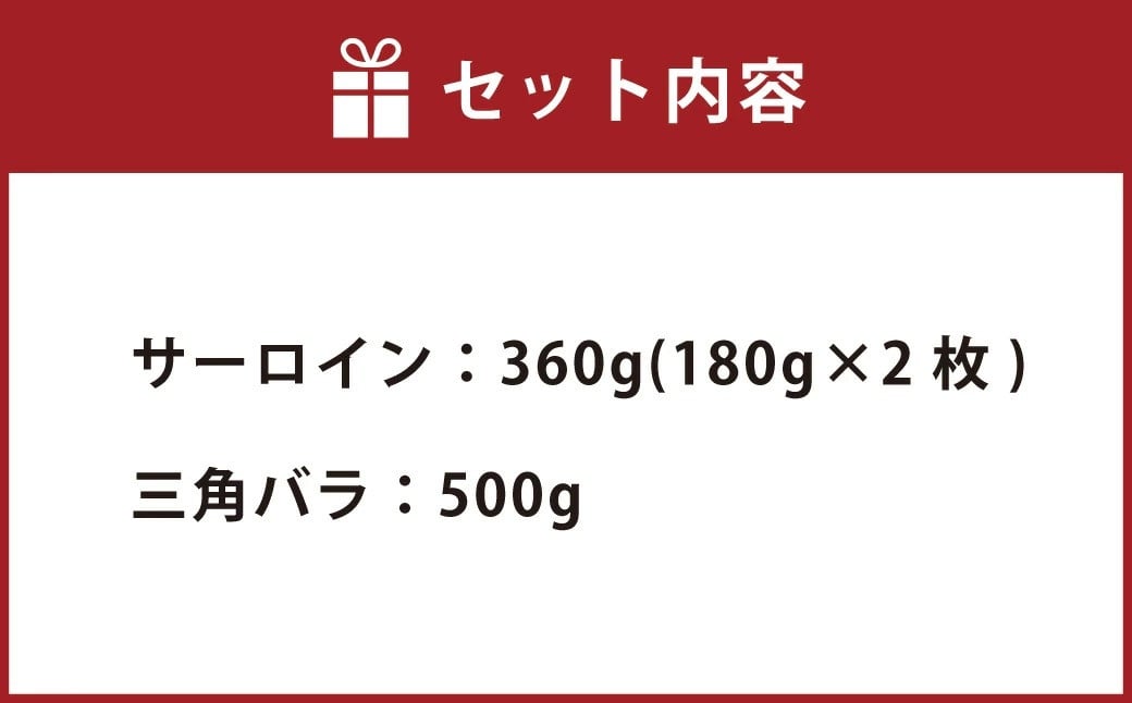 豊後牛 サーロイン・三角バラ 焼肉 セット 860g