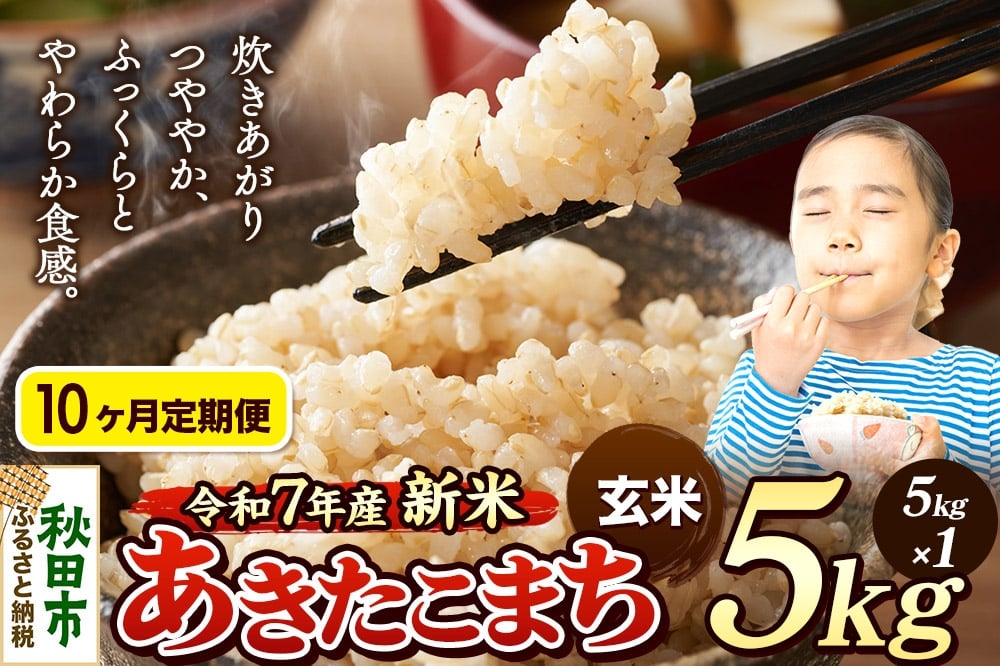 
            《令和7年産 新米先行受付》《定期便10ヶ月》 米 あきたこまち 5kg 【玄米】 秋田県産
          