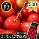 【ふるさと納税】 【令和6年産先行予約】 温室さくらんぼ 「佐藤錦」 約500g (特秀 2～3L) 化粧箱入り 《令和6年5月下旬～発送》 『松田観光果樹園』 さくらんぼ サクランボ 生産農家直送 温室栽培 果物 フルーツ デザート 先行予約 予約 山形県 南陽市 [617]