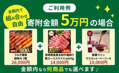 ≪期限1年間≫あとからセレクト 45,000円コース【ふるさとギフト】 あとから選べる カタログ ギフト 鰻 肉 ワイン 都農町_T998-008