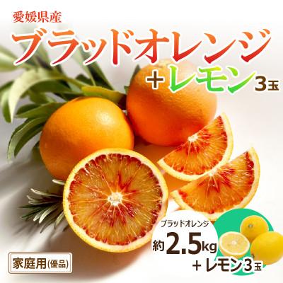 ふるさと納税 松山市 【2027年3月下旬頃から発送予定】ブラッドオレンジ(優品)約2.5kgと瀬戸内海の島レモン3玉入り
