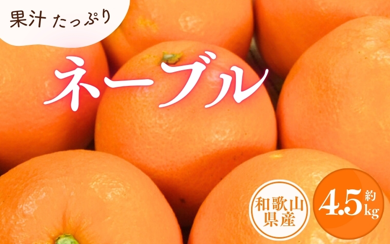 ネーブル 約4.5kg/サイズおまかせ　※2025年1月中旬～2025年2月上旬頃に順次発送予定(お届け日指定不可)　紀伊国屋文左衛門本舗【kztb431B】