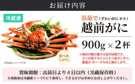 ≪浜茹で≫越前がに 中サイズ（生で900g以上）× 2杯 合計1.8kg以上 【3月発送分】 [e14-x016_03] 食べ方しおり付【雄 ズワイガニ かに カニ 蟹 越前ガニ 姿 ボイル 冷蔵 福