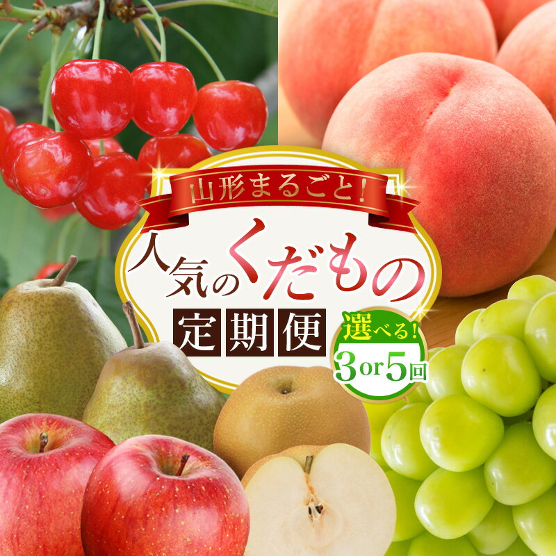 【ふるさと納税】山形まるごと！人気のくだもの定期便 3回 5回 FZ25-958