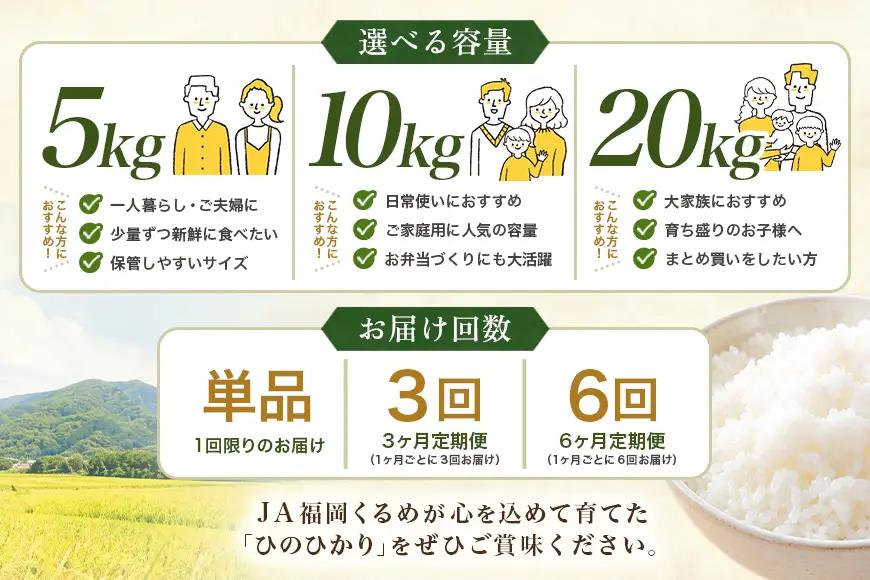 【3回定期便】【ふるさと納税】ひのひかり 米 お米 玄米 10kg 10キロ 福岡県産 うきは市 国産 精米 ご飯 ごはん おにぎり お弁当 人気 おすすめ 家庭用 送料無料 新米 ストック 厳選 農