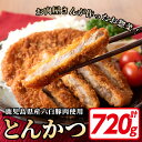 【ふるさと納税】鹿児島県産！六白黒豚とんかつ(120g×6枚・計720g) 鹿児島県 いちき串木野 トンカツ 豚カツ 豚肉 黒豚 肉 惣菜 揚げ物 おかず 時短 冷凍【ミートハシグチ】