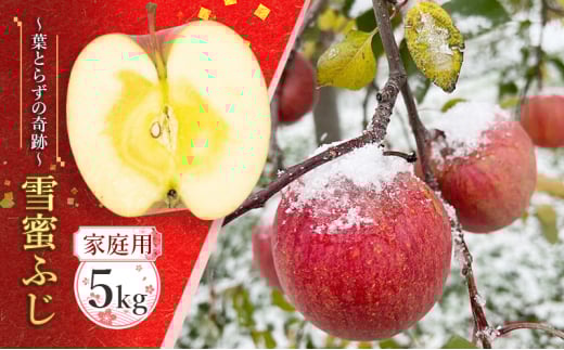 蜜入り14度糖度保障【家庭用】雪蜜ふじ～葉とらずの奇跡～約5kg【青森りんご・マルコウアップル】果物類 フルーツ 林檎 リンゴ 板柳町 青森県 おやつ デザート