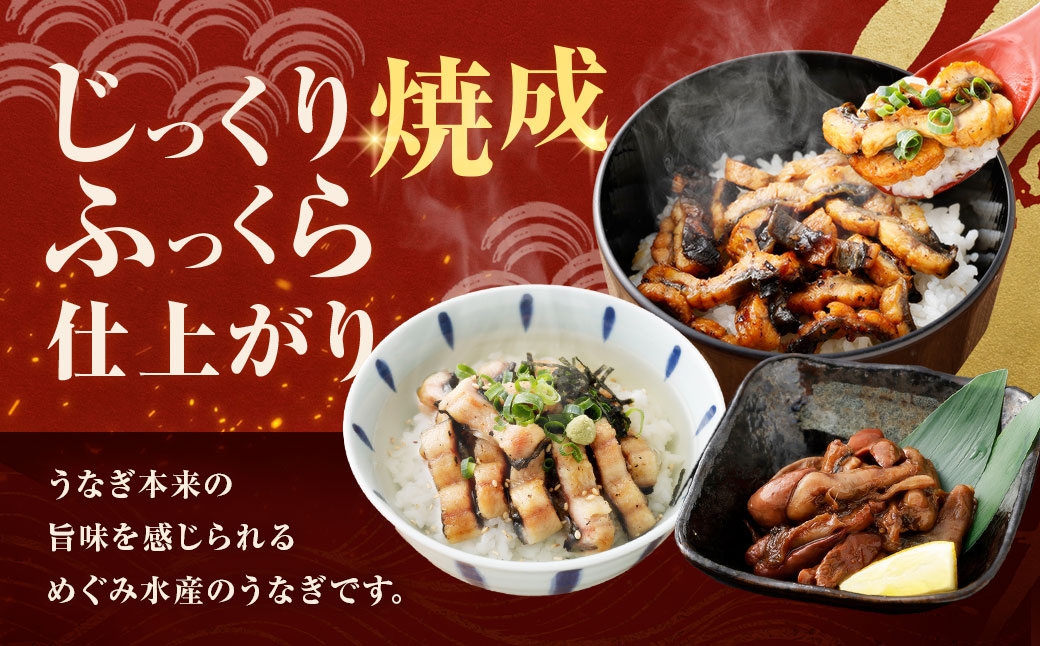 めぐみうなぎちょこっと贅沢