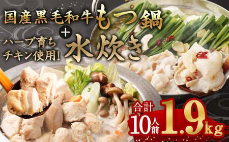 国産黒毛和牛もつ鍋 6人前 冷凍ちゃんぽん・濃縮スープ付＋ハーブ育ちチキン使用！水炊き4人前 合計10人前 【2月発送】