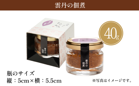 「うにむらかみ」雲丹の佃煮　40g×1本 【 ふるさと納税 人気 おすすめ ランキング うに ウニ 雲丹 海栗 佃煮 キタムラサキウニ バフンウニ ごはんのお供 海鮮 ミョウバン 不使用 北海道 北斗