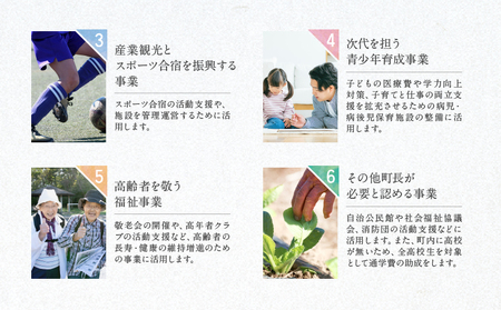 【返礼品なしの寄附】宮崎県綾町 寄附のみの応援受付 20,000円 応援寄附 寄付_0000-006