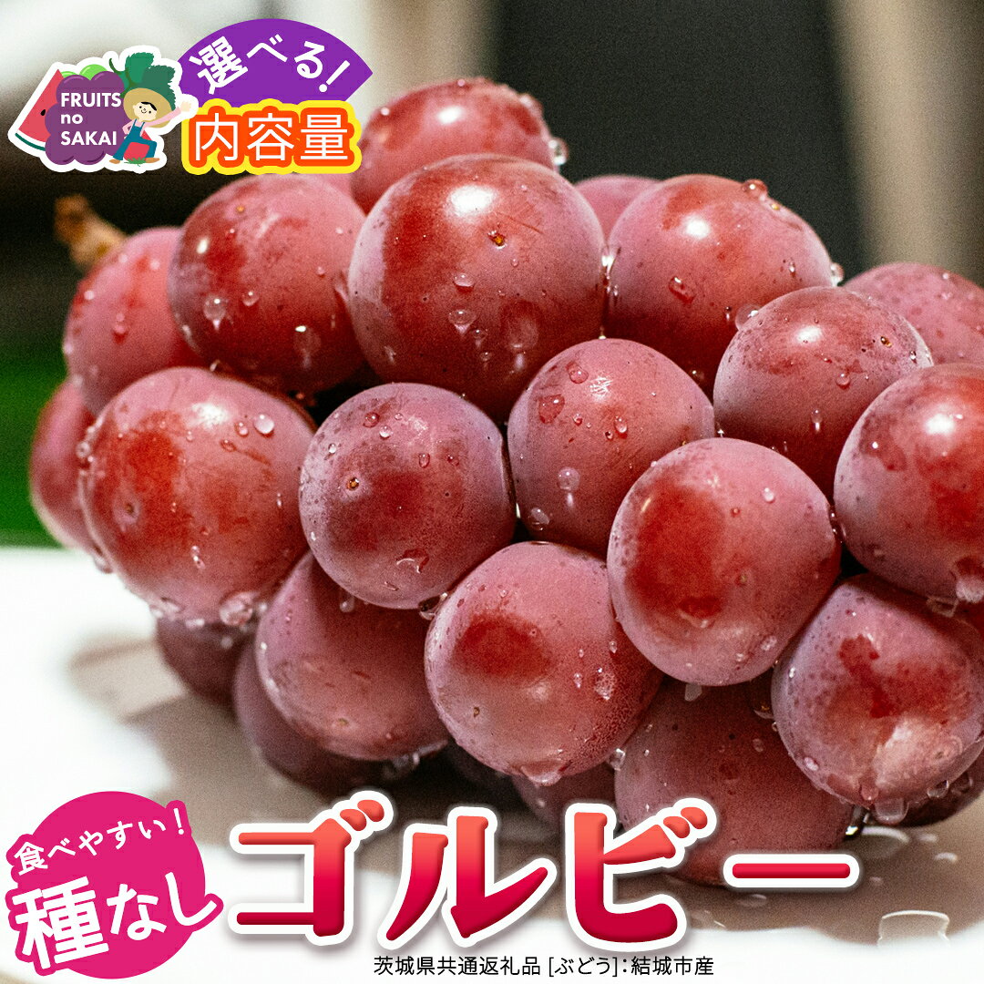 【ふるさと納税】 ＼ 選べる内容量 ／ゴルビー 約1.3kg(約2房) / 約2kg(約4房) / 約5kg(約8〜12房)【2026年9月より発送開始】（茨城県共通返礼品 [ぶどう]：結城市産） ぶどう 赤ぶどう 高級 希少品種 大粒 甘い 果物 フルーツ 旬