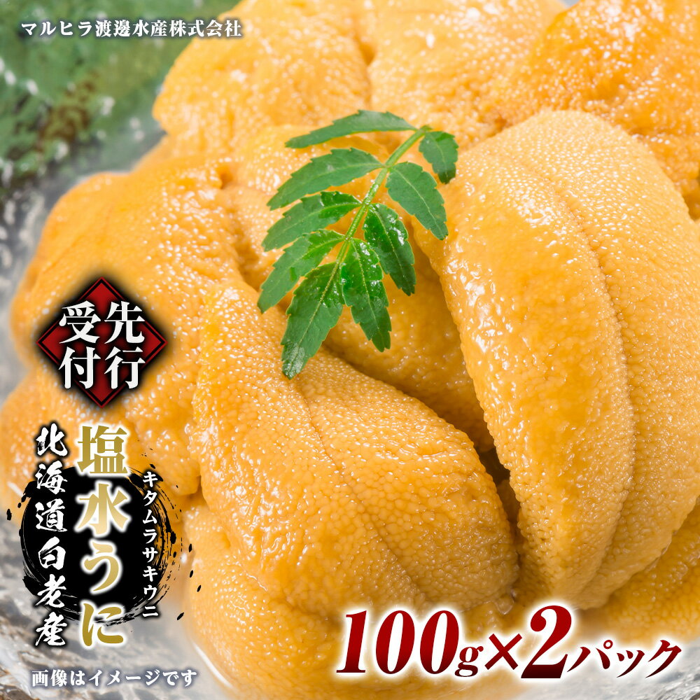 【ふるさと納税】2026年 発送 先行受付 ウニ本来の味が楽しめる【白老産】塩水ムラサキウニ 100g×2パック BT008白老町 ふるさと納税 北海道ふるさと納税 ウニ 北海道 ウニ うに 雲丹 むらさきうに 塩水 塩水ウニ