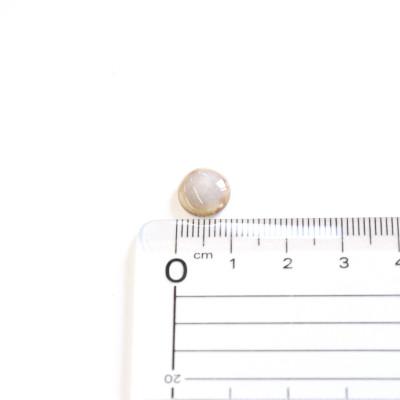 ふるさと納税 瑞浪市 【美濃焼】薄茶むらタイルピアス(直径10mm) |  | 03