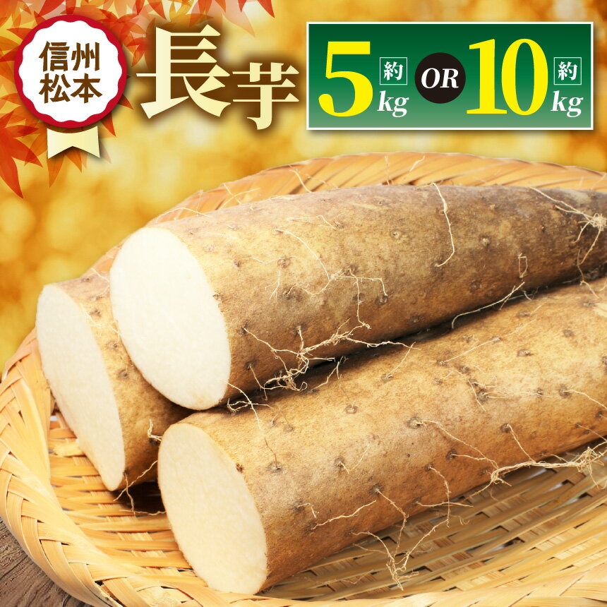 【ふるさと納税】【先行受付】選べる　長芋 2L～4L （約5kg～10kg）｜ふるさと納税 松本市 長芋 長いも 料理 自然 芋 ビタミン 豊富 地元 新鮮