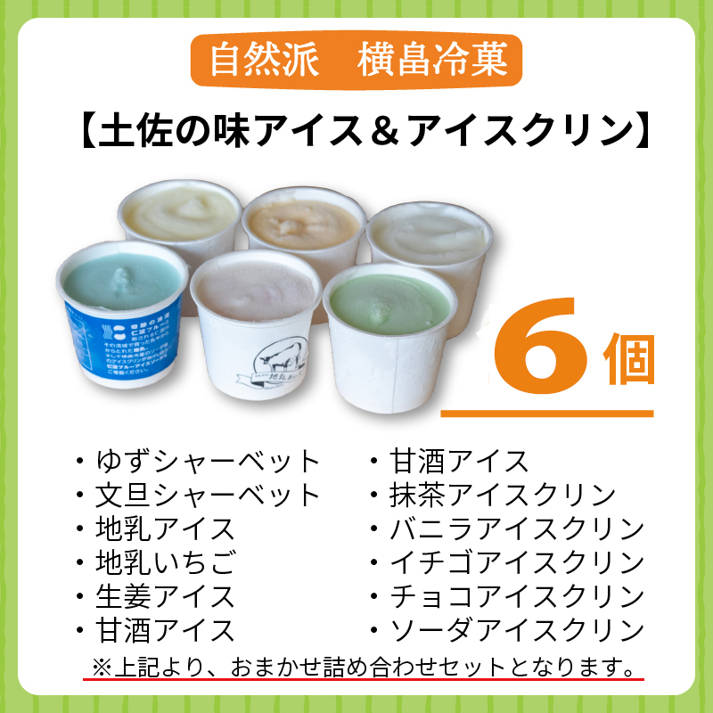 高知 名物 アイスクリン ふるさとの味アイス 6個セット ( ゆず 文旦 甘酒 ミルク いちごミルク 生姜 バニラ 抹茶 いちご チョコ ソーダ 人気 カップ スイーツ バラエティ おやつ 詰め合わせ