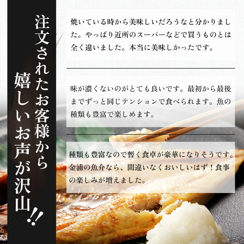 《定期便》9ヶ月連続 干物セット 13品程度(7種類程度）「秋田のうまいものセットB」_イメージ3