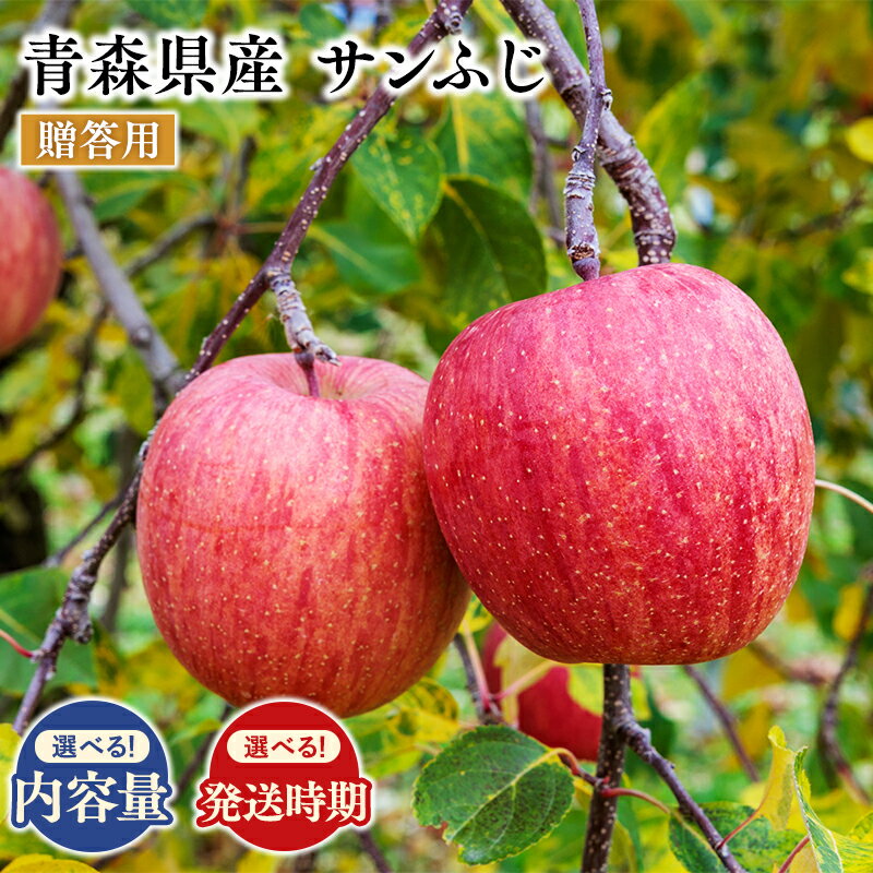 【ふるさと納税】≪内容量と配送時期が選べる≫ 青森県産 贈答用 サンふじ 2kg 3kg 5kg 【 青森県 平川市 原田農園 】 青森 青森県産 平川 りんご リンゴ 林檎 くだもの 果物 フルーツ