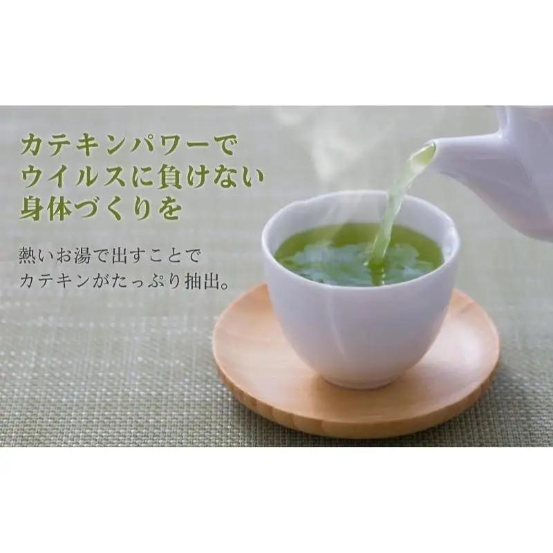 お茶 森の茶 特上煎茶 たっぷり10袋 煎茶 お茶
