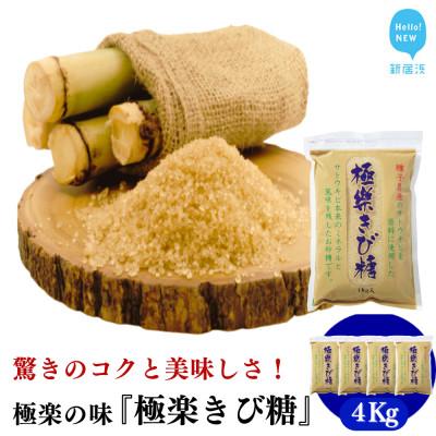 ふるさと納税 新居浜市 種子島のさとうきび本来の風味を残す『極楽きび糖』 1kg×4袋「極楽塩」入り