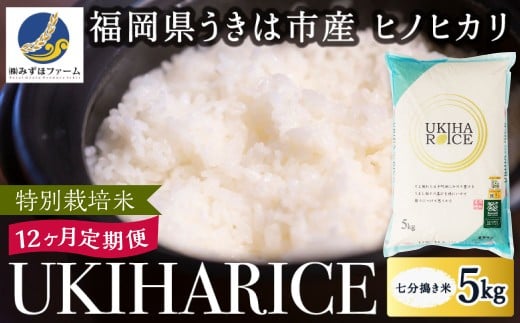 【12ヶ月定期便】みずほファーム UKIHA RICE (七分搗き5kg×12ヶ月)  【特別栽培米】【2025年11月より順次発送予定】 米 ヒノヒカリ お米 ご飯 うきは市