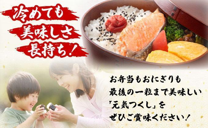 【12ヶ月定期便】福岡県産米 元気つくし 5kg 精米 令和7年産 ※北海道・沖縄・離島は配送不可【精米 7年産 国産 福岡県産 お米 ブランド米 5kg げんきつくし】CY011sub12 【12ヶ
