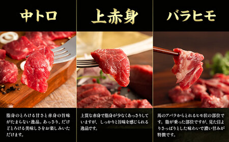 馬肉 熊本特産 フジチクオリジナル ふじ 馬刺し 堪能 セット 道の駅竜北  熊本県 氷川町 肉 馬肉 メン 大トロ 中トロ ヒレ シャトーブリアン ロース ランプ 上赤身 ネギトロ ふじ馬刺し セッ