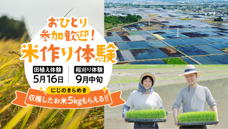 【2026年5月16日(土曜日) 開催予定】お1人様大歓迎！米作り体験（田植え・稲刈り体験）にじのきらめき 5kg付き