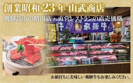 飛騨牛 ロース 焼肉 450ｇ 霜降り ブランド牛     肉 黒毛和牛 飛騨高山 山武商店 TR3974【飛騨牛 焼肉 和牛ブランド 飛騨牛 黒毛和牛 飛騨牛 焼肉 岐阜 飛騨牛】