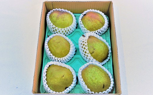 西洋梨（ラ・フランス）２.５ｋｇ　ご家庭用　0012-2612