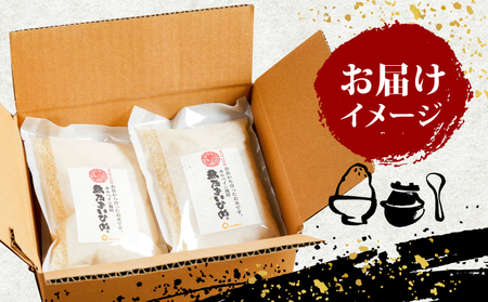 新米 コシヒカリ 魚乃まいひめ カルペイン栽培 計 1升 2合 × 5袋 精米 秀長水産 お米 米 環境保全 カルペイン 鯛 真鯛 魚肥 使用 こめ コメ kome 小分け お弁当 弁当 おにぎり ふ