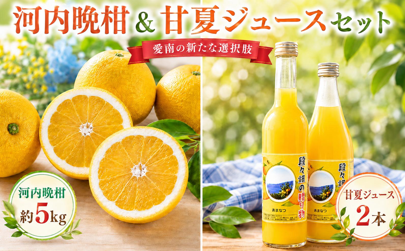 
                  訳あり 河内晩柑 約 5kg サイズミックス 甘夏 ジュース 500ml 720ml 各1本 1.2L 2本 10000円 かわちばんかん ミカン mikan わけあり 愛南ゴールド 家庭用 ゴールド 美生柑 文旦 みかん あまなつ 夏みかん 家庭用 産地直送 国産 減農薬 数量限定 特産 お酒 焼酎 ジュース デザート 等に 果実 果肉 美味しい フルーツ 果物 柑橘 宮下明良 愛南町 愛媛県
                