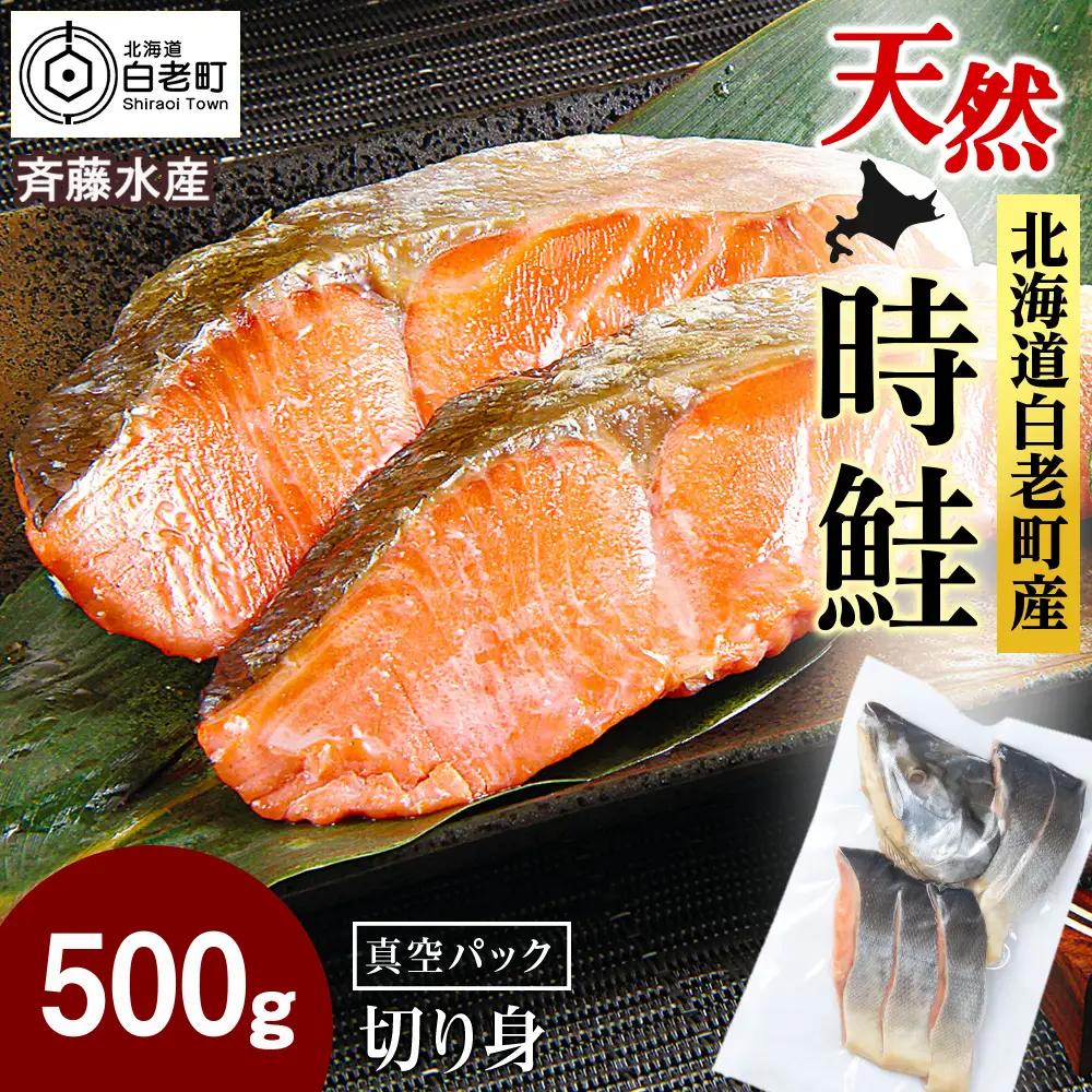 白老町産 時鮭 トキシラズ 500g 真空パック〈斉藤水産〉