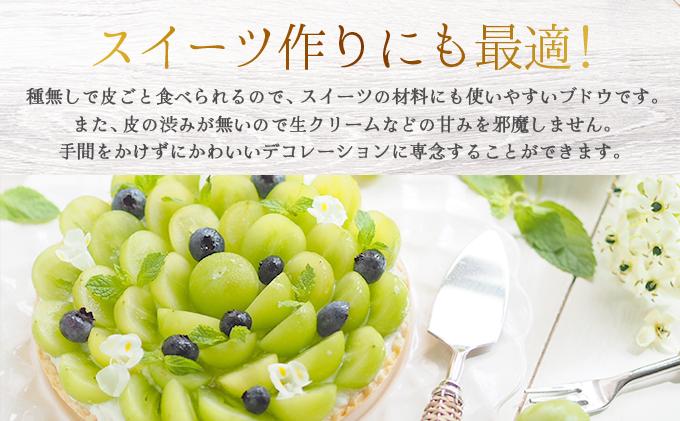 ＜2025年発送分 先行予約＞シャインマスカット 1.2kg以上（2〜3房）［025-a010］