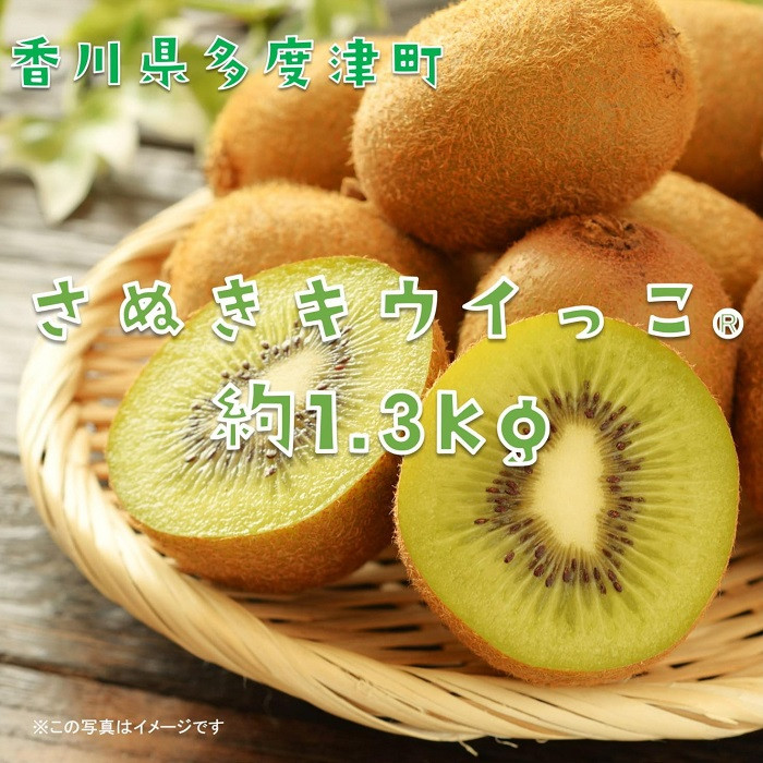 香川県オリジナルキウイフルーツ「さぬきキウイっこ®」1.3kg【予約受付中！令和5年11月上旬頃から発送】