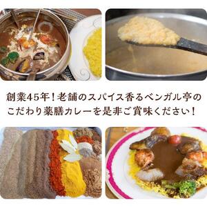 L ベンガル亭特製スパイスカレー！（スパイスソース・辛口）6袋