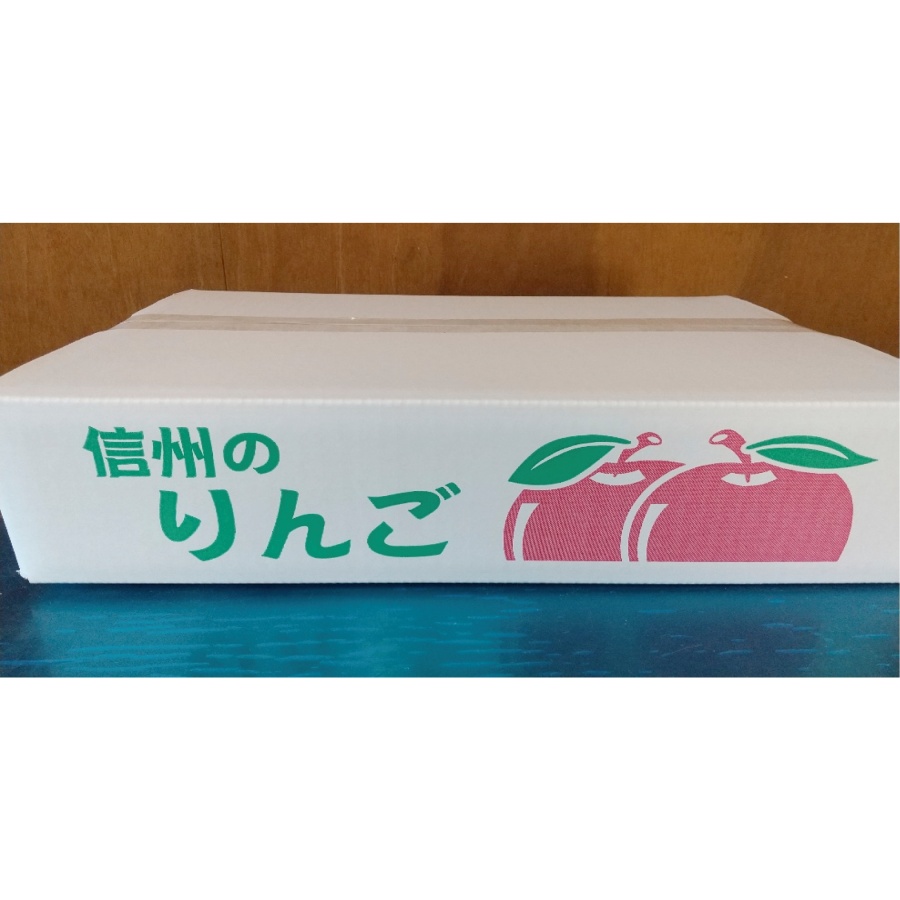 信州りんご サンふじ 5キロ（20～22玉）