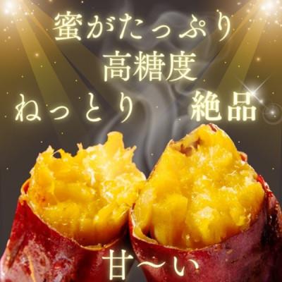 ふるさと納税 行方市 紅はるか冷凍焼き芋S〜Mサイズ約1kg+おすすめ別品種冷凍焼芋200g(合計約1.2kg)