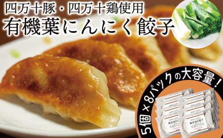 葉 ニンニク（ 6個x8パック） 餃子  餃子  餃子  餃子  餃子  餃子  餃子