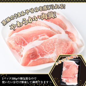 鹿児島県産黒豚モモスライス(計2.5kg・500g×5P)  豚肉 モモ スライス【株式会社羽根】A728