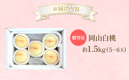 白桃 贈答用 岡山県産 白桃【約1.5kg5～6玉】【先行受付】