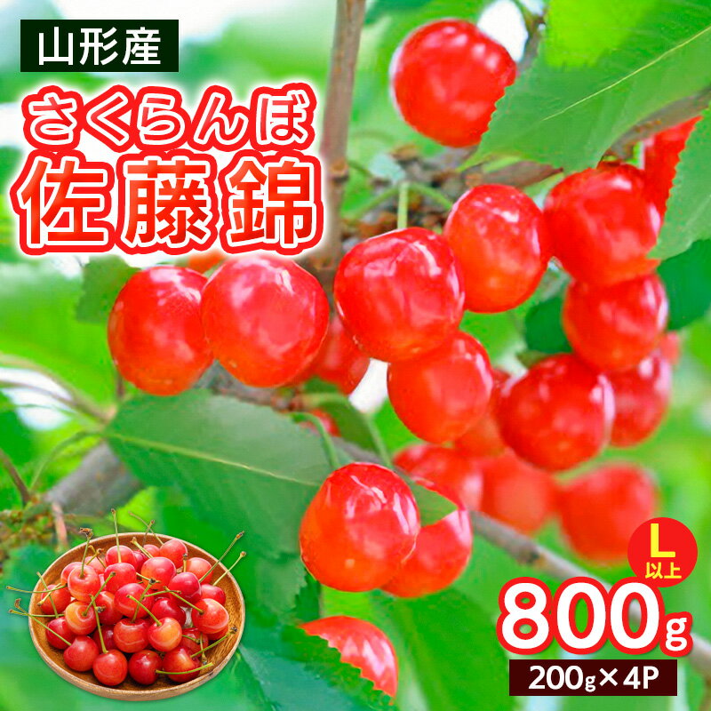 【ふるさと納税】さくらんぼ Lサイズ以上 佐藤錦 800g(200g×4パック)【令和8年産先行予約】FS25-066