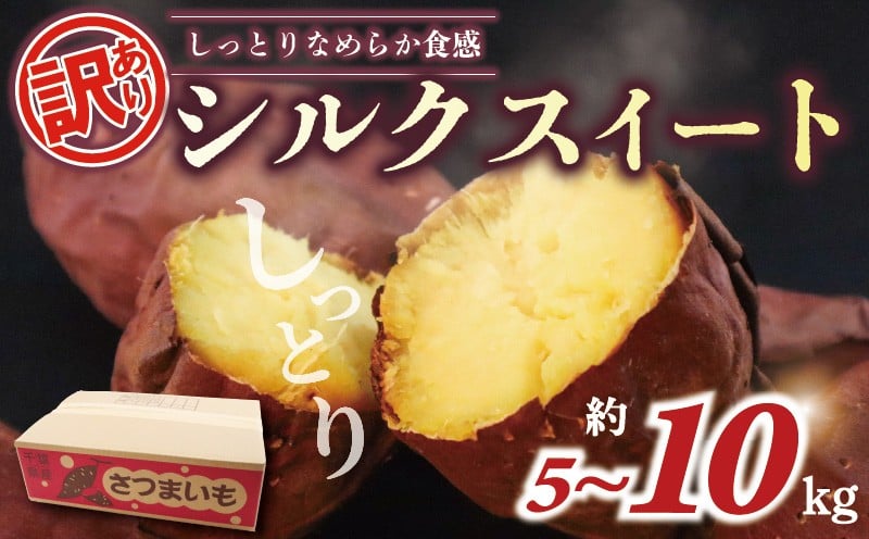 
                  訳あり さつまいも シルクスイート選べる 約 5kg / 約 10kg 土付き 国産 千葉県産 訳アリ 訳有 さつま芋 いも サツマイモ 国産 千葉県産 旬 秋 野菜 焼きいも 焼き芋 スイートポテト 産地直送 おすすめ ふるさと納税 5000円 10000円 五千円 一万円 千葉県 旭市 向後メロン園 kug
                