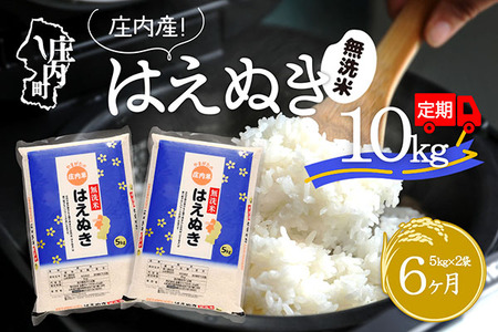 ＜2月中旬発送＞庄内米6か月定期便！はえぬき無洗米10kg（入金期限：2025.1.25）