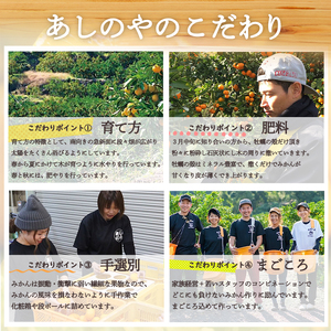 ZE6044n_【先行予約】和歌山県産 有田みかん 5kg 小玉(3S~Sサイズ混合)【まごころ手選別】